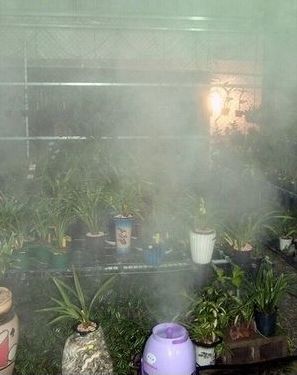 增濕機,TL-3600,TL-5500,半天霧,加濕機