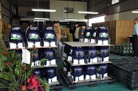 噴霧器把握生產細節，以科學化模式維持最佳濕度狀態